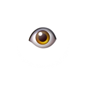 Brow Tech